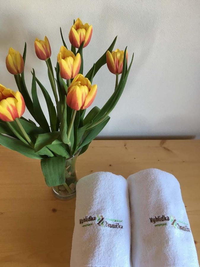 Zlaté Hory Horsky Apartman Vyhlidka Rejviz מראה חיצוני תמונה